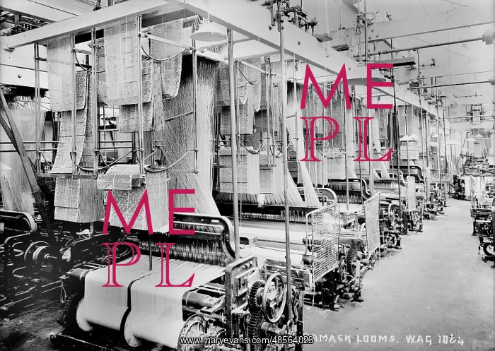 : Damask Looms : Damask Looms