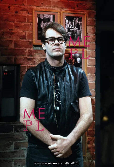 : Dan Aykroyd - actor - celebrities : Dan Aykroyd - actor - celebrities