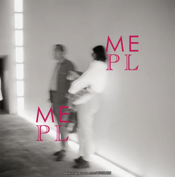  : Dan Flavin at the documenta IV
