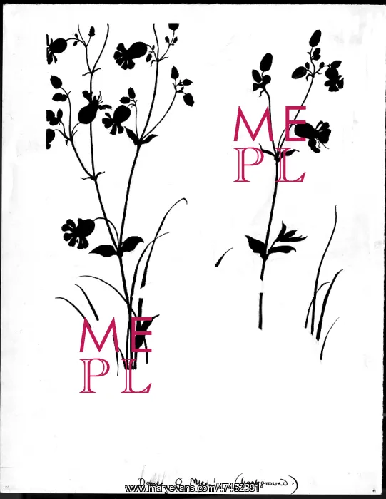 : Dance O Mice (background) : Dance O Mice (background)