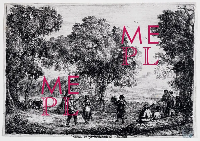 : Dance through the trees : Dance through the trees