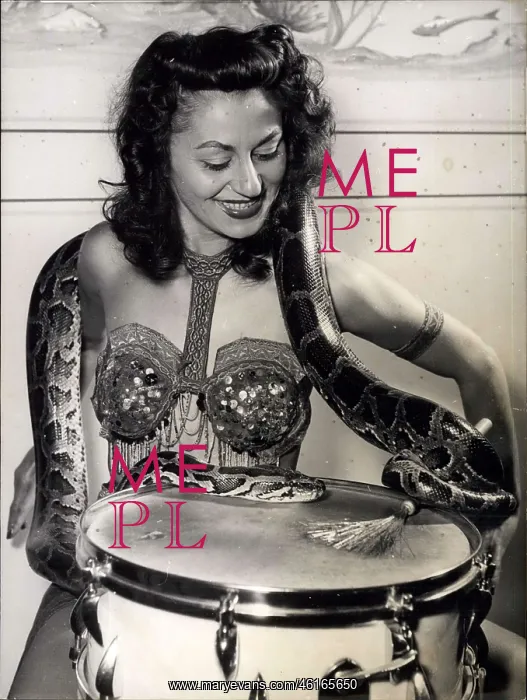 : Dancer in costume with drum and python snake : Dancer in costume with drum and python snake