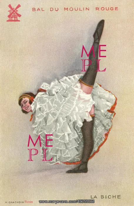 : Dancer at the Moulin Rouge : Dancer at the Moulin Rouge