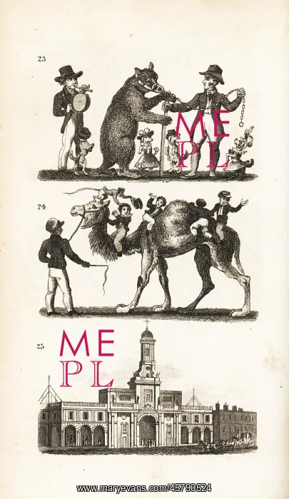 : Dancing Bear and Dog, Camel and Monkey and the : Dancing Bear and Dog, Camel and Monkey and the