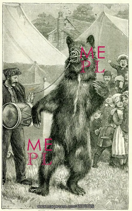 : Dancing bear and drummer : Dancing bear and drummer
