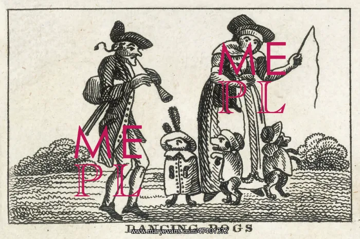 : DANCING DOGS : DANCING DOGS