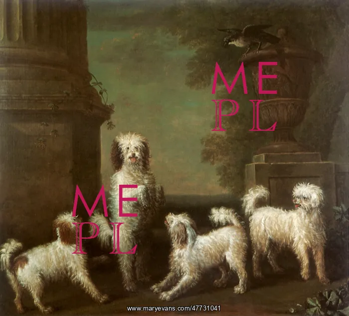  : The Dancing Dogs