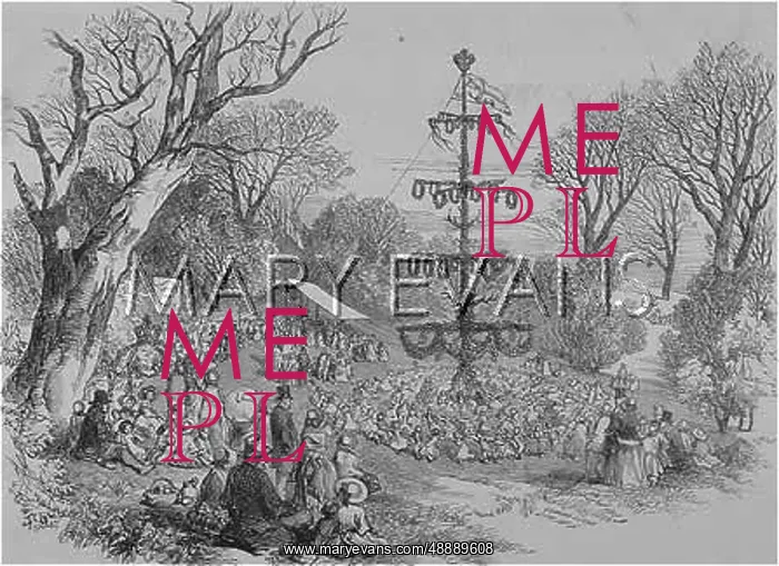 : DANCING ROUND MAYPOLE : DANCING ROUND MAYPOLE