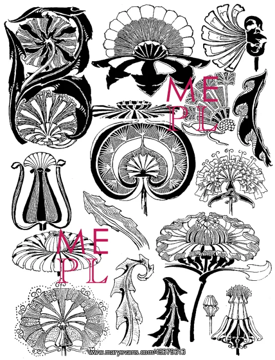 : Dandelion. Studies in plant form with suggestions for their application to design : Dandelion. Studies in plant form with suggestions for their application to design