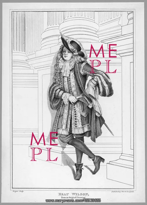 : Dandy - Beau Wilson - 1690 : Dandy - Beau Wilson - 1690