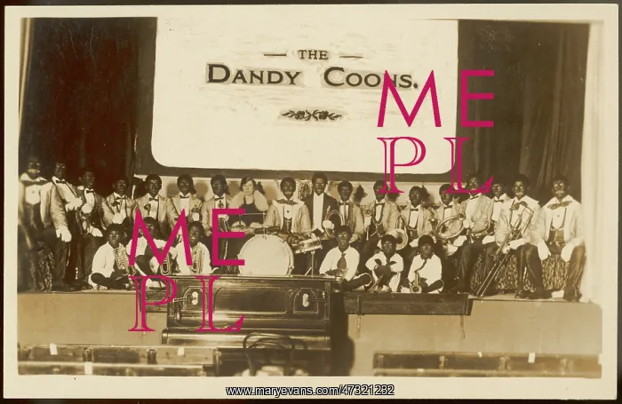 : THE DANDY COONS : THE DANDY COONS