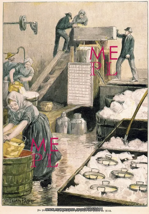 : Danish dairy 1897 : Danish dairy 1897