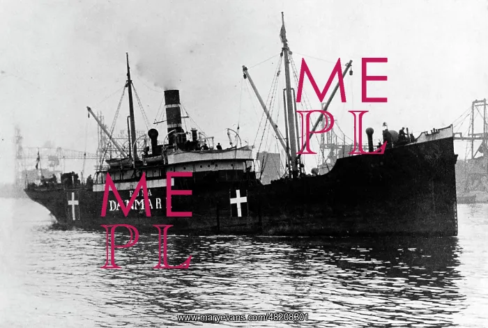  : Danish ship in World War I