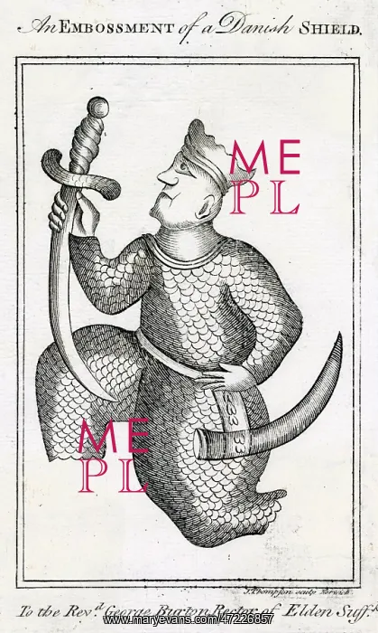 : DANISH WARRIOR : DANISH WARRIOR