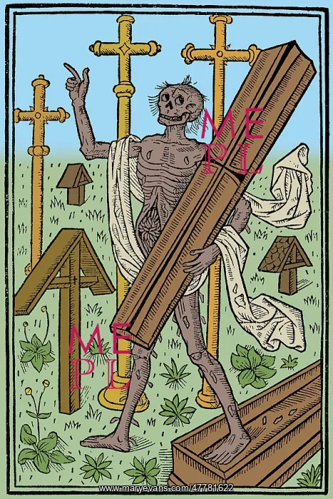: Danse Macabre, 1496 : Danse Macabre, 1496