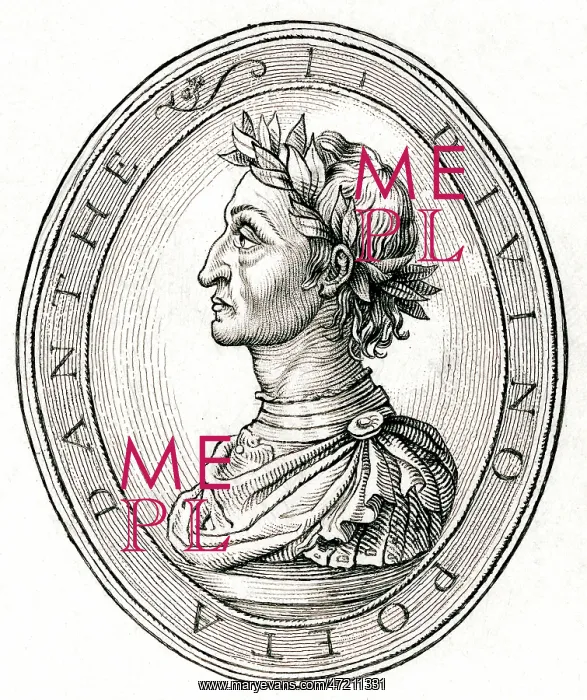  : DANTE / PROFILE