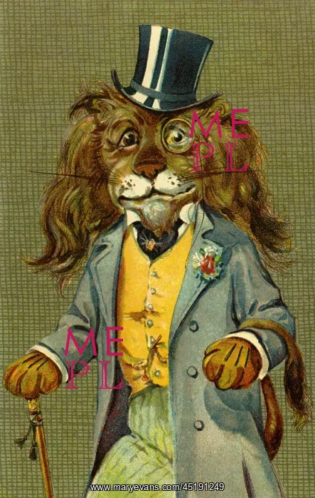 : Dapper lion by g h Thompson : Dapper lion by g h Thompson