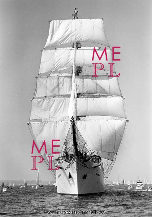 : The Dar Mlodziezy, Polish tall ship, fully rigged, Falmouth : The Dar Mlodziezy, Polish tall ship, fully rigged, Falmouth