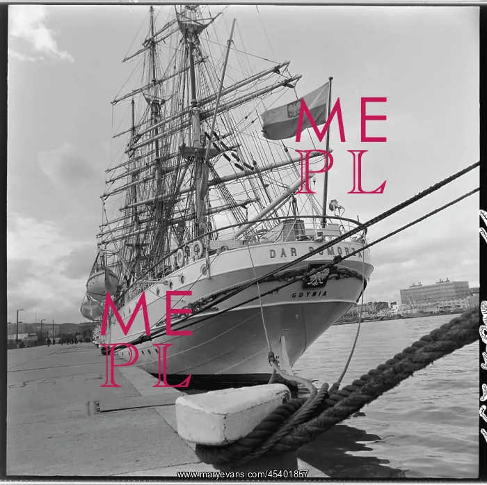 : Dar Pomorza - sailing ship : Dar Pomorza - sailing ship