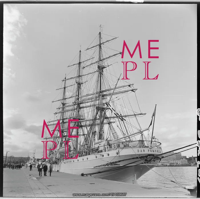 : Dar Pomorza - sailing ship : Dar Pomorza - sailing ship