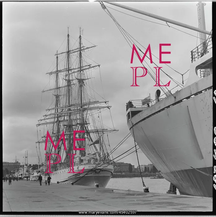 : Dar Pomorza - sailing ship : Dar Pomorza - sailing ship