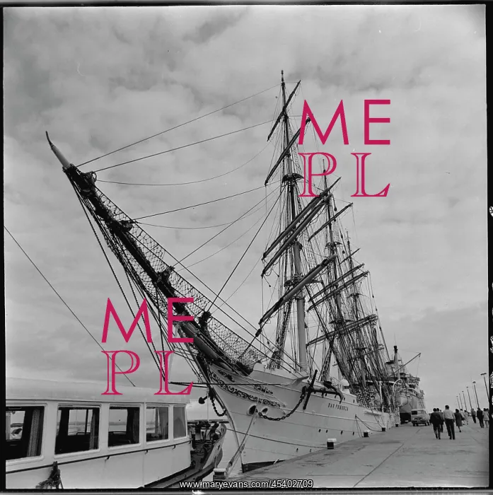 : Dar Pomorza - sailing ship : Dar Pomorza - sailing ship