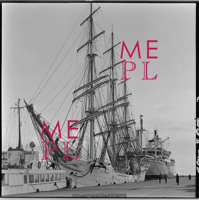 : Dar Pomorza - sailing ship : Dar Pomorza - sailing ship