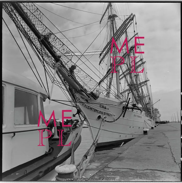 : Dar Pomorza - sailing ship : Dar Pomorza - sailing ship