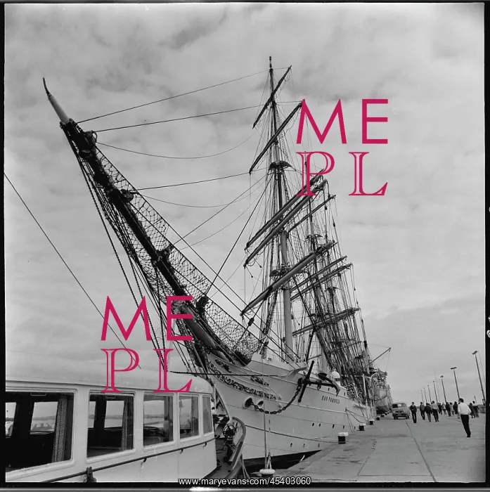 : Dar Pomorza - sailing ship : Dar Pomorza - sailing ship