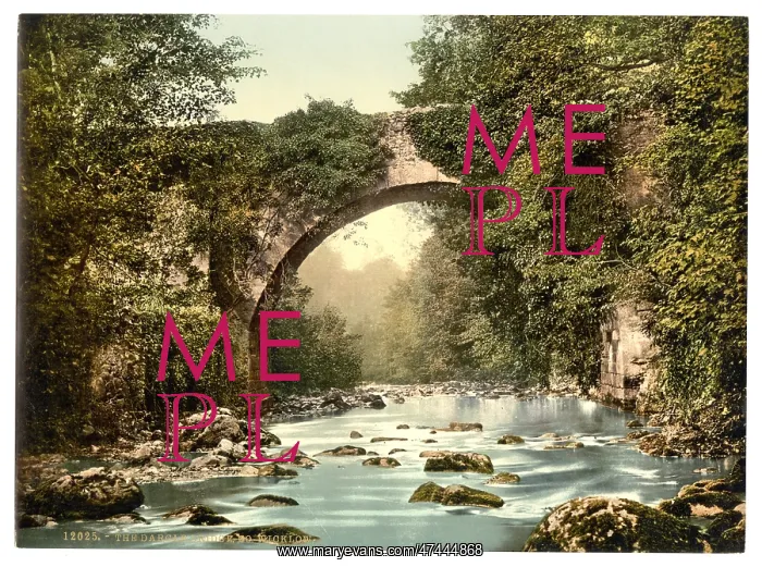 : The Dargle Bridge. County Wicklow, Ireland : The Dargle Bridge. County Wicklow, Ireland