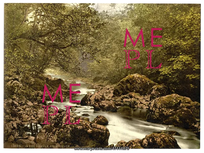 : In the Dargle. County Wicklow, Ireland : In the Dargle. County Wicklow, Ireland
