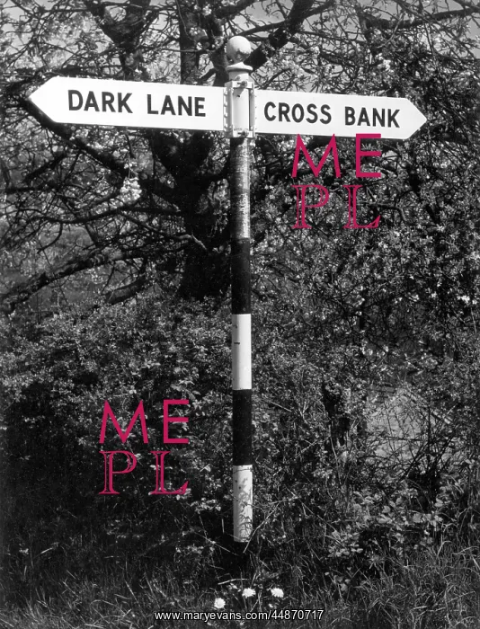 : DARK LANE SIGN : DARK LANE SIGN