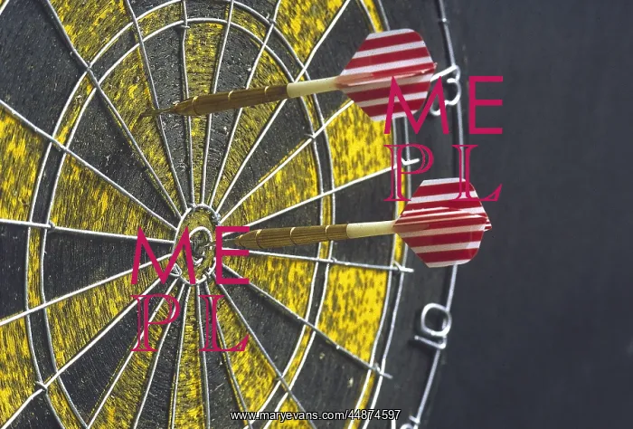: DART BOARD : DART BOARD