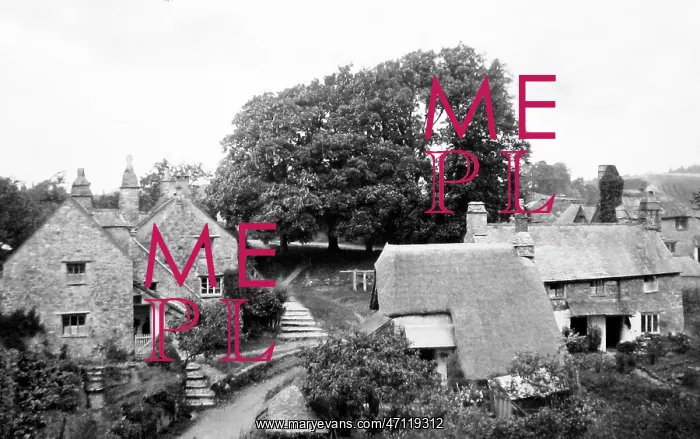  : Dartington