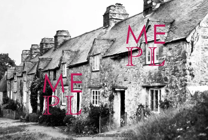  : Dartington