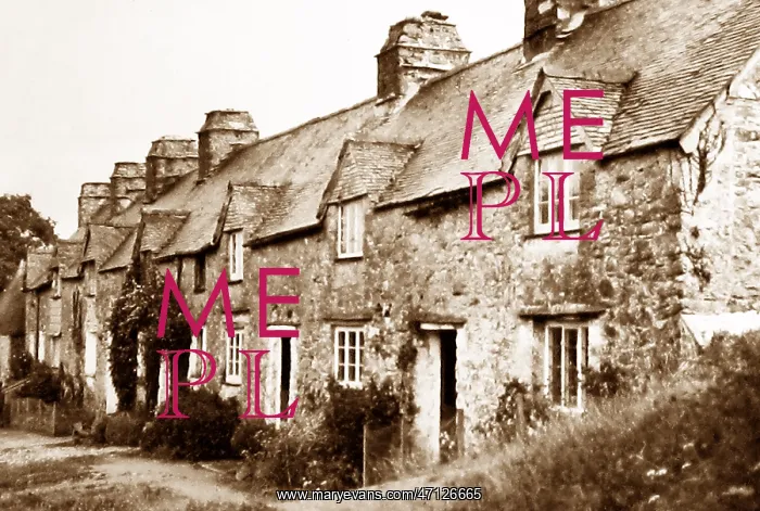  : Dartington