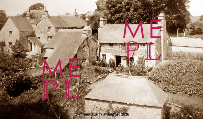 : Dartington