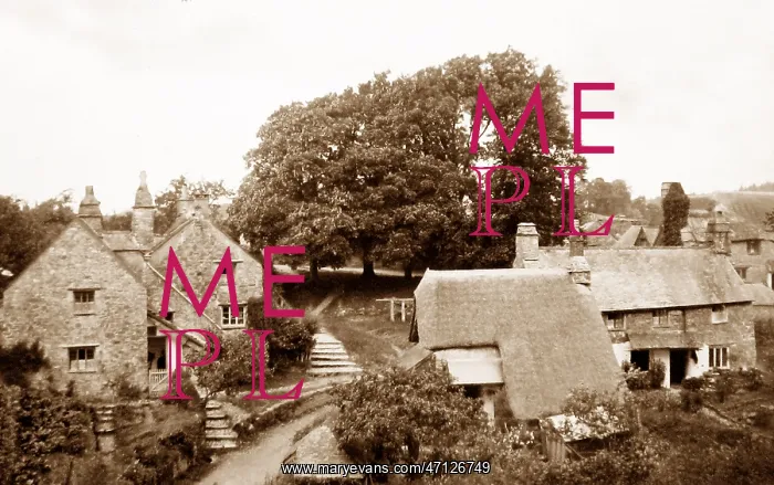  : Dartington