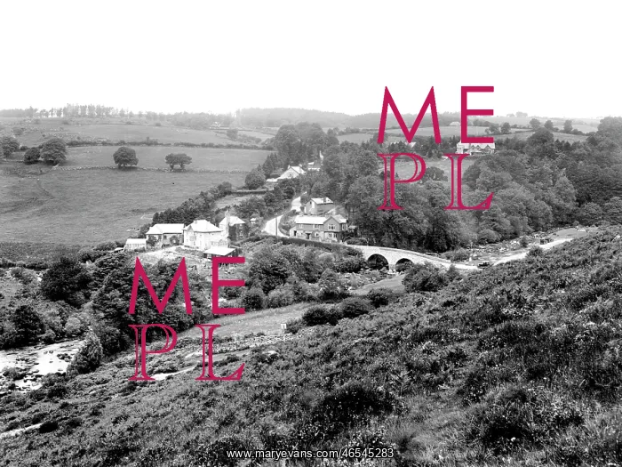  : Dartmeet, 1925