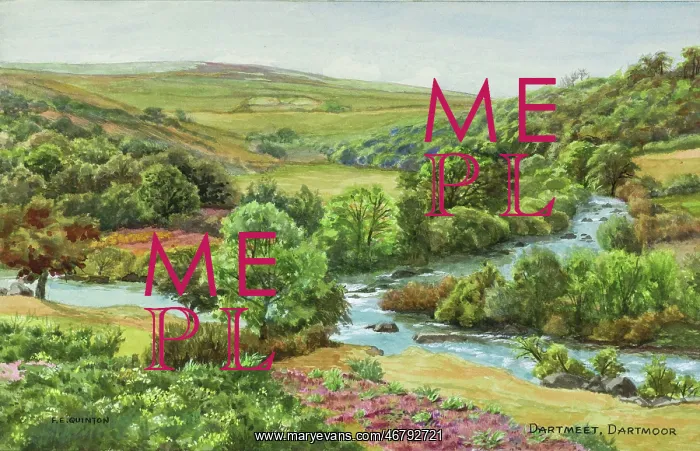 : Dartmeet, Dartmoor, Devon : Dartmeet, Dartmoor, Devon