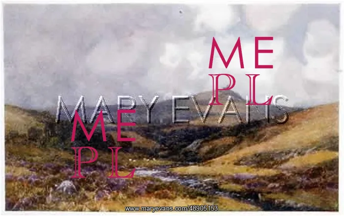  : DARTMOOR - BRENT TOR