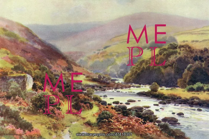  : DARTMOOR - DARTMEET