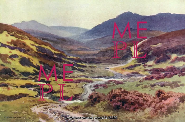 : DARTMOOR - DEVILS BRIDGE : DARTMOOR - DEVILS BRIDGE