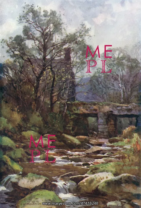 : DARTMOOR - OCKERY BRIDGE : DARTMOOR - OCKERY BRIDGE