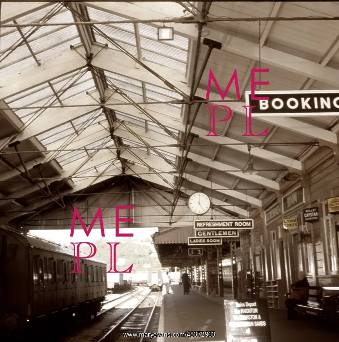  : Dartmouth railway station