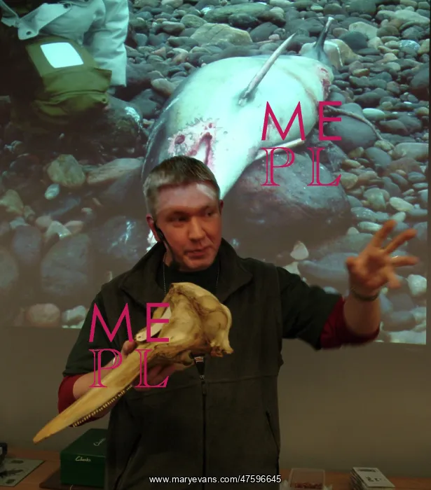  : Darwin Centre Live Presentation