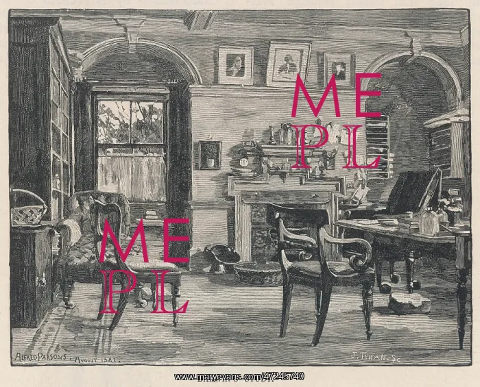 : DARWIN / DOWNE / STUDY : DARWIN / DOWNE / STUDY