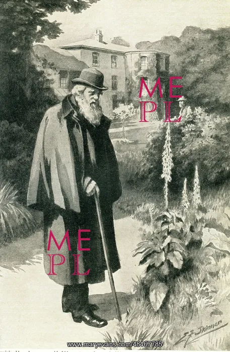  : Darwin in his garden