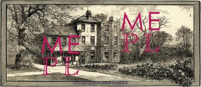  : DARWIN / HOME / DOWNE / KENT