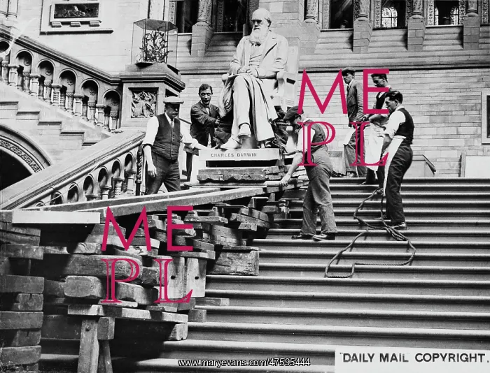 : Darwin statue, September 1927 : Darwin statue, September 1927